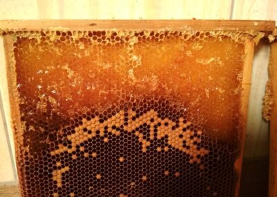 Miód pszczeli
