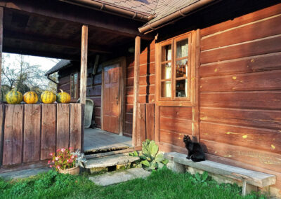Drewniany taras domku z czarnym kotem przed