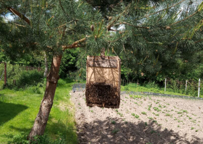 Ul z pszczołami na drzewie